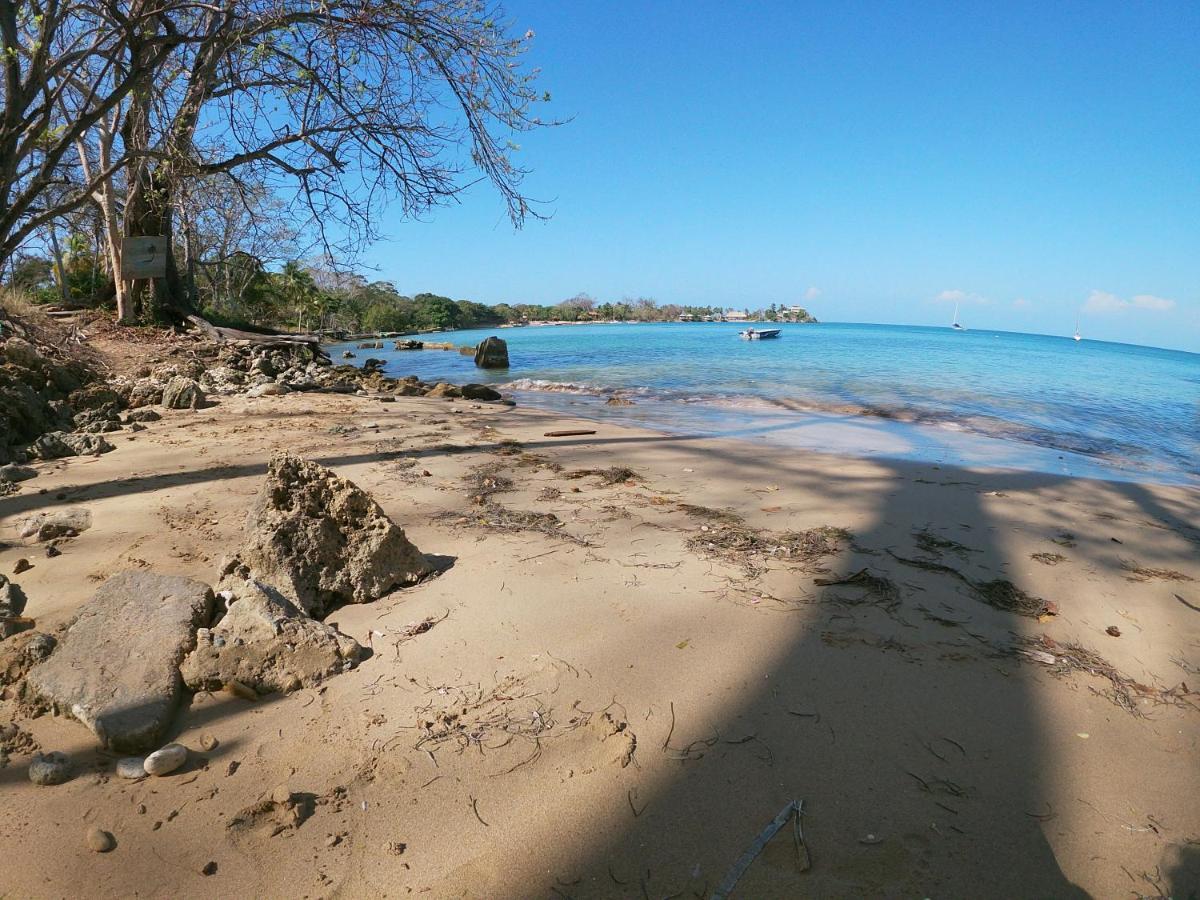 Private Beach House Maloka Surf Puerto Limon 外观 照片