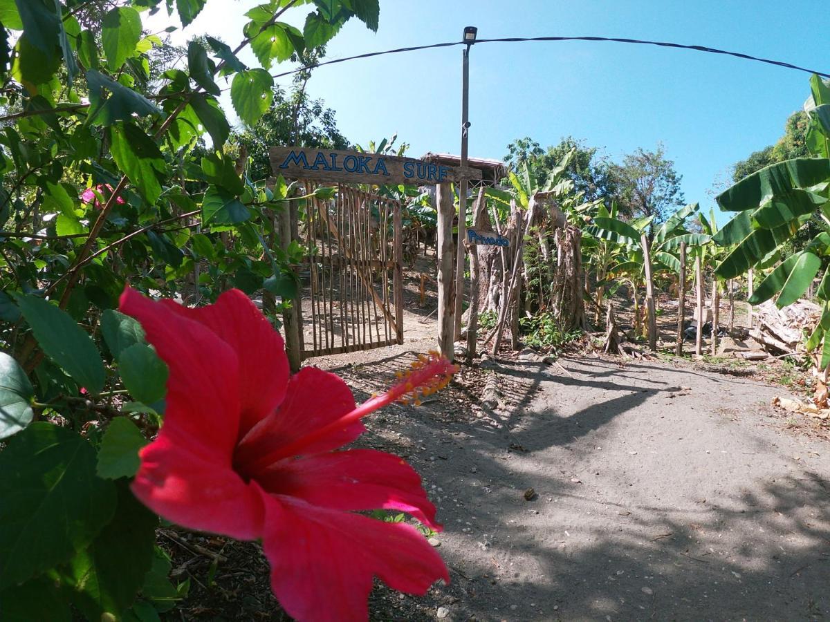 Private Beach House Maloka Surf Puerto Limon 外观 照片