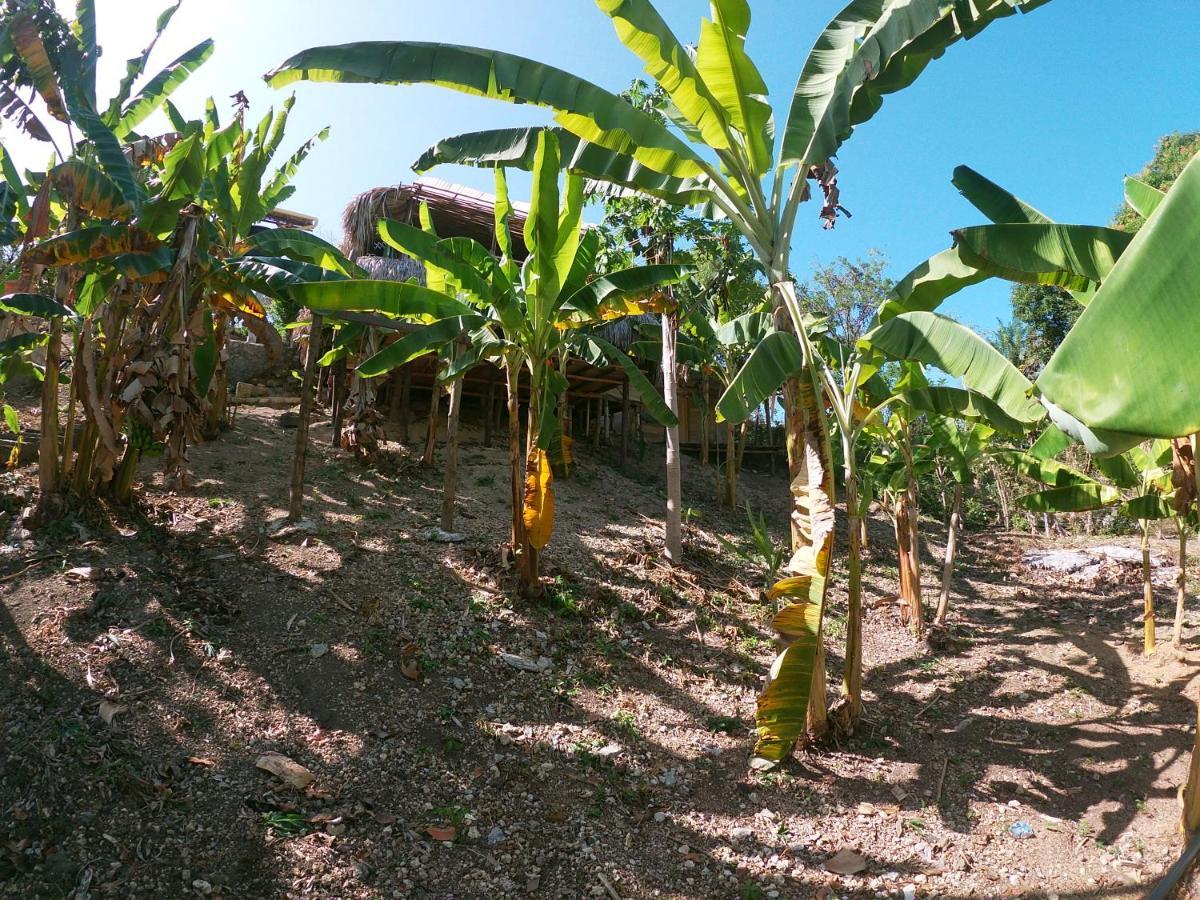 Private Beach House Maloka Surf Puerto Limon 外观 照片